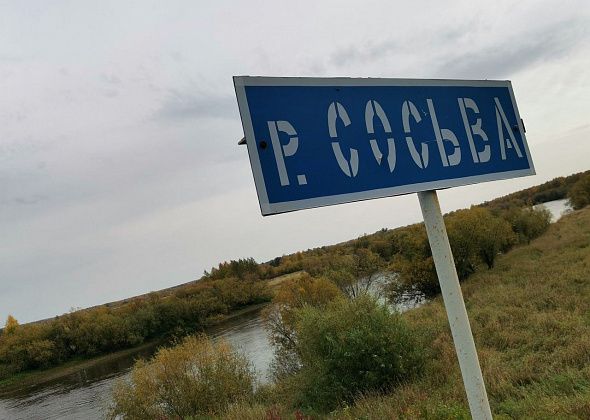 «Вода подозрительная – мертво-прозрачная». Серовский рыбак обратился в Росприроднадзор из-за исчезновения рыбы в Сосьве
