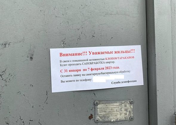 Серовчанам предлагают избавиться от насекомых в квартирах. Стоит ли верить объявлениям?