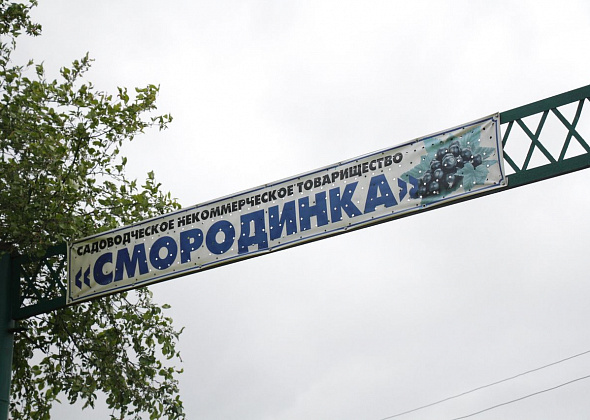 Председатель Думы Серова написал главе города о мерах, которые нужно принять в ответ на обращение садоводов