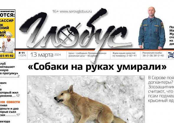 Пожарный спас соседку из горящего дома, в Серове появились догхантеры?