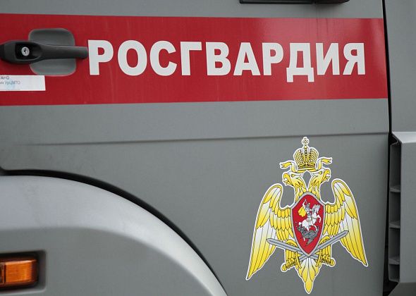 Серовчанин пытался украсть из магазина алкоголь, а когда не вышло - обматерил Росгвардейца. Теперь его будут судить