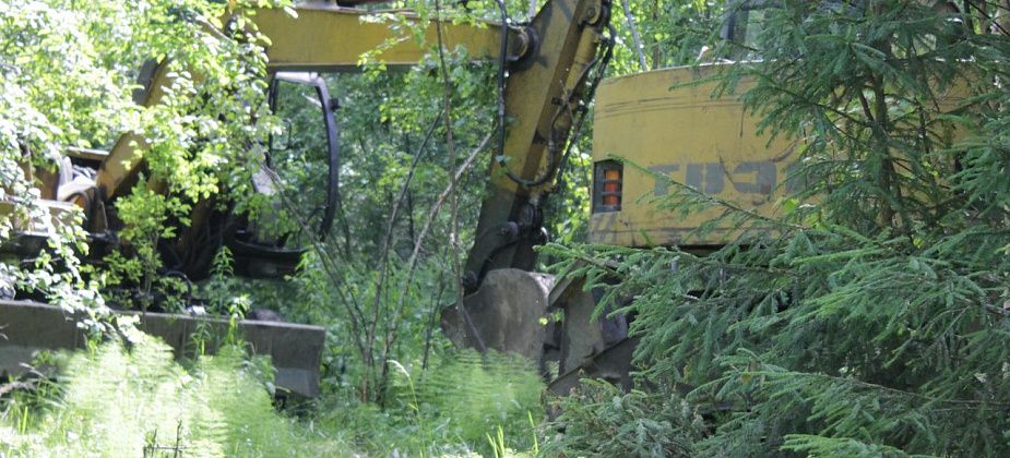 "Черные копатели" изуродовали дорогу в районе реки Тетерька