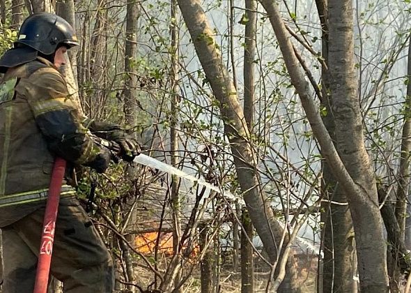В поселке Черноярский потушили пожар. Горела сухая трава
