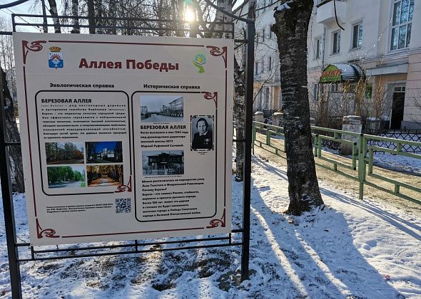 В Серове установили стенд, посвященный березовой аллее