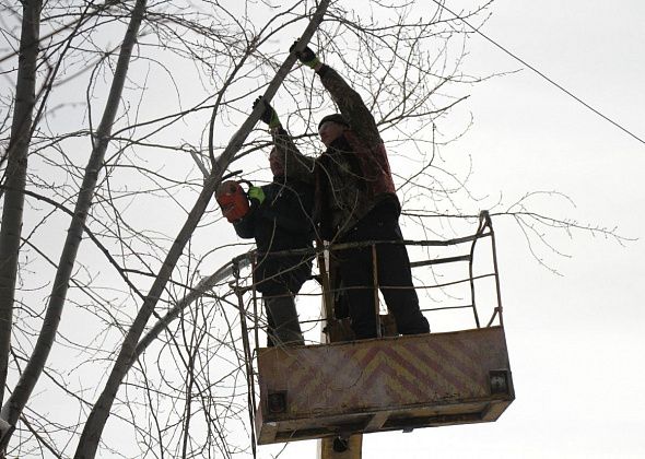 Осенью в Серове повалят 29 деревьев, проведут омолаживающую обрезку 47 тополей и формовочную – 181 дерева