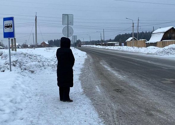 "Того и гляди, зашибут кого-то". Жители Мякоткино каждый день решают задачу, как дождаться автобуса и не попасть под колеса