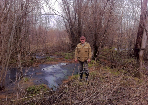 Огороды серовчан затопило фекалиями