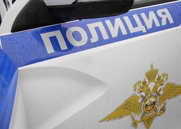 Серовчанина, вынесшего в рукавах куртки водку из магазина, опознали по выразительным бровям