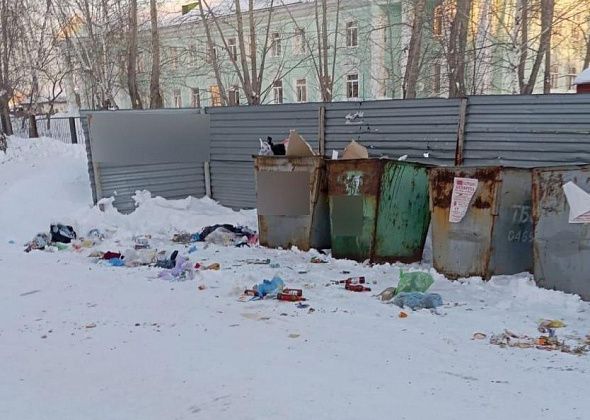 Серовчане жалуются на мусор у контейнерной площадки и плохую работу дворника