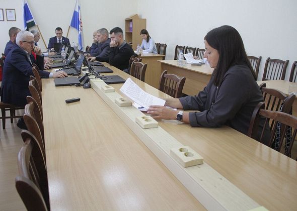 Директор «Домино» прокомментировала информацию о покупке Думой  Серова нового стола