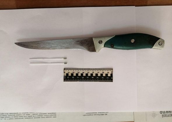 Пьяная женщина ударила пьяного сожителя ножом во время поездки в Ларьковку