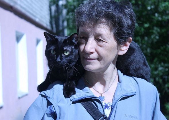 О черных котах