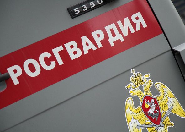 В Серове задержали мужчину, объявленного в федеральный розыск