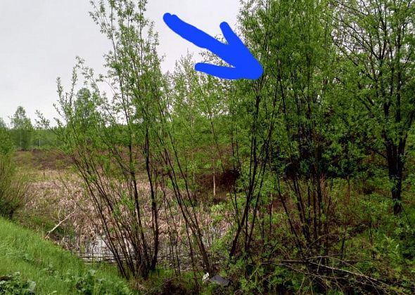 Полиция Серова ищет свидетелей работ, в результате которых повредили подземный кабель
