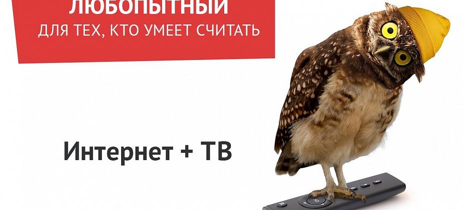 «Любопытный» - новый способ получить быстрый и недорогой интернет от ТТК в Серове