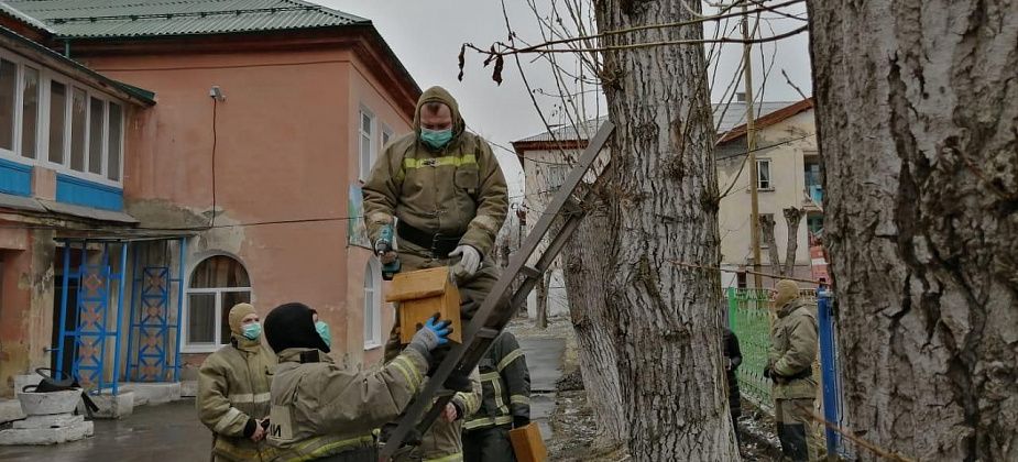 Серовские спасатели смастерили скворечники для птиц  