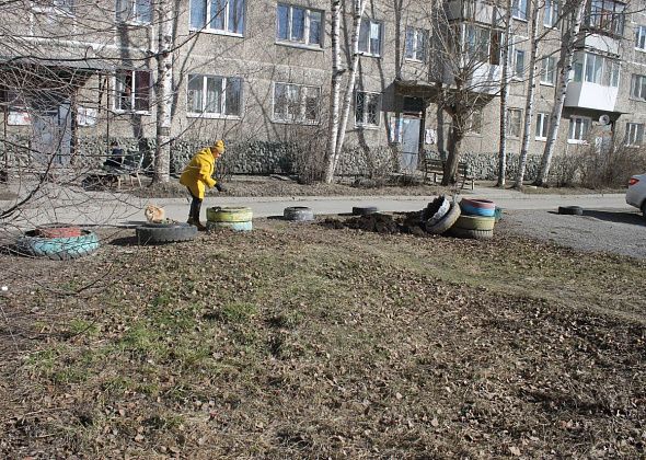 "Безобразие, слов нет". Серовчанка возмущена, что управляющая компания не предупредила об уборке клумб-шин во дворе