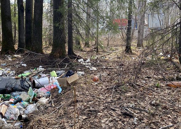 Читатели обнаружили несанкционированную свалку в районе пункта весового контроля на выезде из Серова