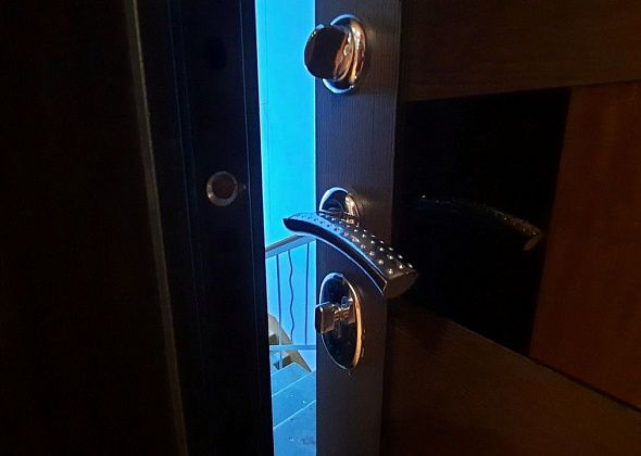 В Екатеринбурге 2-летний мальчик с 3-месячной сестрой 3 дня провели взаперти с мертвыми родителями
