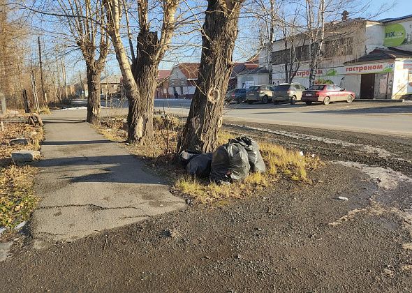В Серове студенты не вывезли собранный во время субботника мусор. Проблему уже устранили