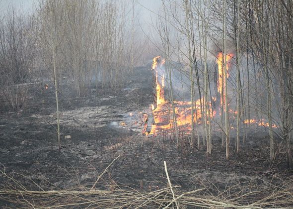 В районе старого кладбища на Лесозаводе вновь горит сухая трава