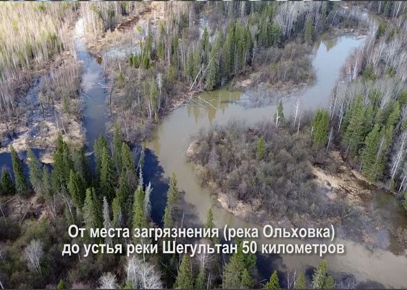 Североуралец с помощью дрона снял, как грязный Шегультан вливается в Сосьву