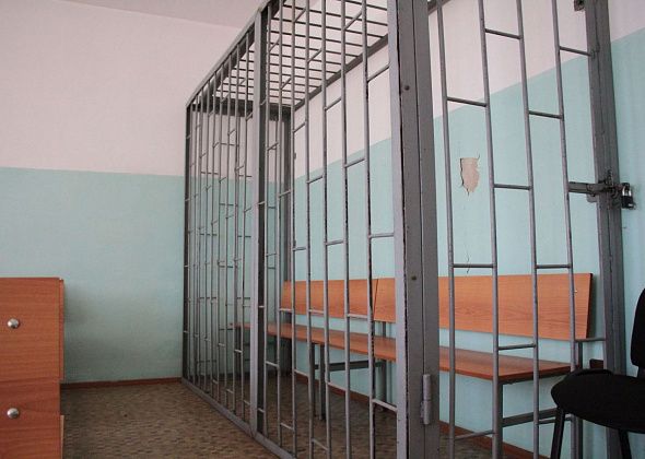 За кражу продуктов, алкоголя и шампуня для животных серовчанина отправили в колонию на 3 года