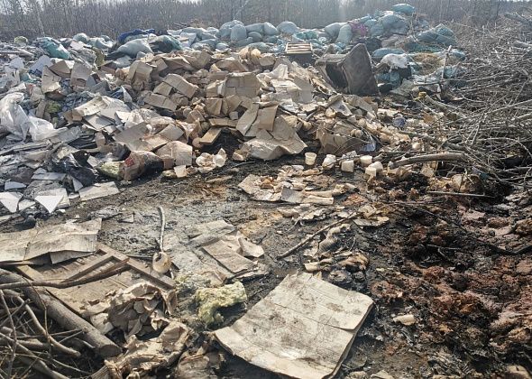 У дороги между Медянкино и Новой Колой образовалась несанкционированная свалка. Серовчане считают, что до этого здесь работали «черные копатели»