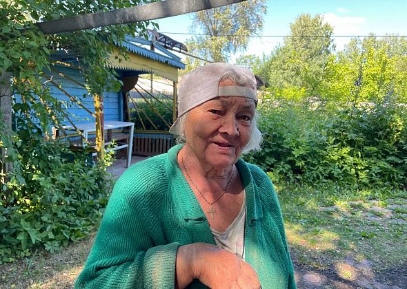 Пенсионерка из Серова хочет, чтобы спилили старые березы, растущие под ее окнами