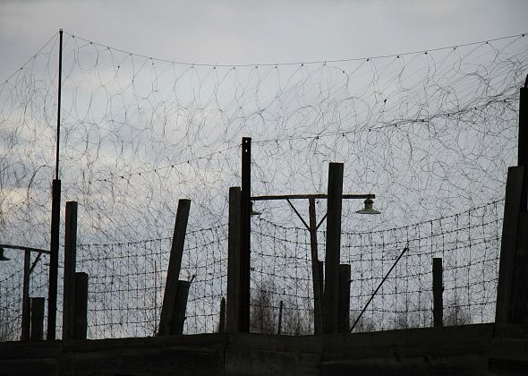 Осужденные, работающие на делянке, заблудились в лесу и вышли на звук поезда