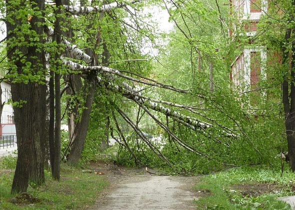 В Свердловской области объявлено экстренное предупреждение. Будьте осторожны!