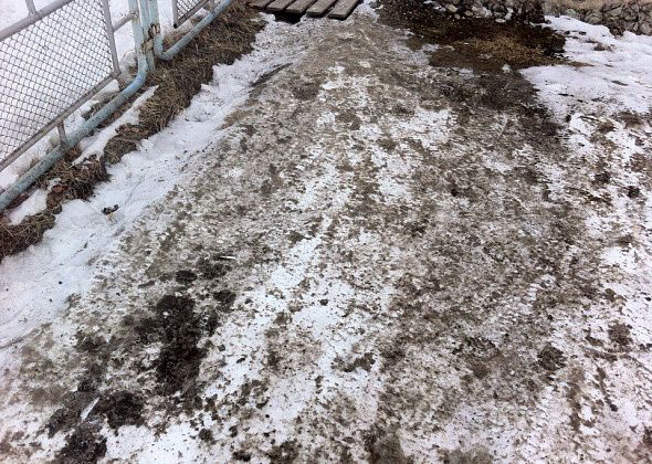 "Серовавтодор" перестанет сыпать на тротуары "черную субстанцию"