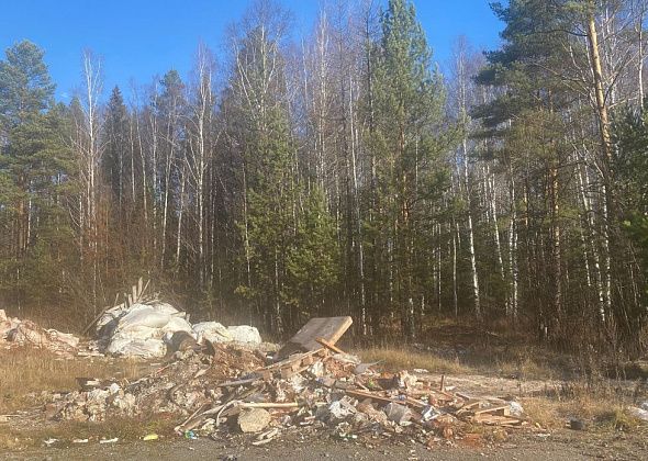 Директор лесничества: на вывоз свалки с Поляны любви нашлись средства