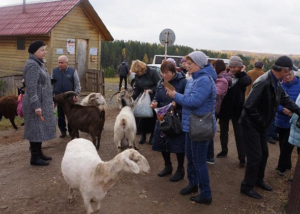 Едем в Висим!