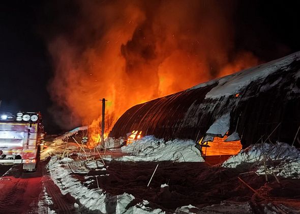 В пожаре на лесопилке в Серове погиб сторож. Следственный комитет проводит проверку