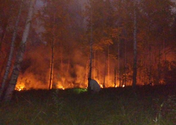 "Какой-то рыбак оставил костерок"... Под Серовом произошел лесной пожар