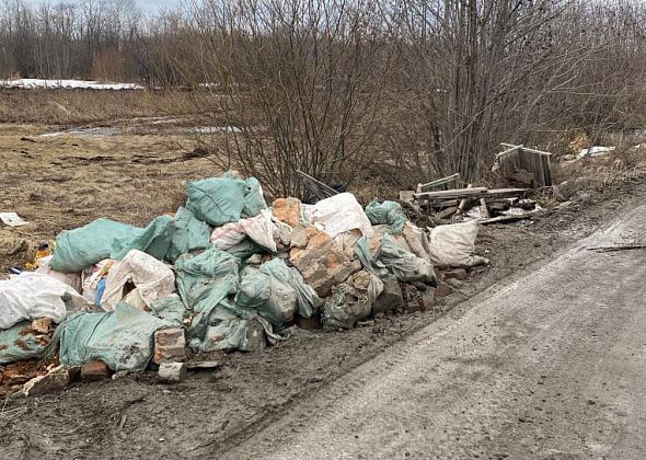 Несанкционированная свалка на дороге между Новой Колой и Медянкино будет убрана?