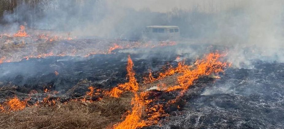 Под Серовом полыхает первый в 2022 году природный пожар. Горят поле и лес