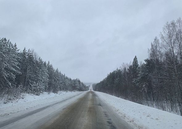 Внимание! Снегопад!