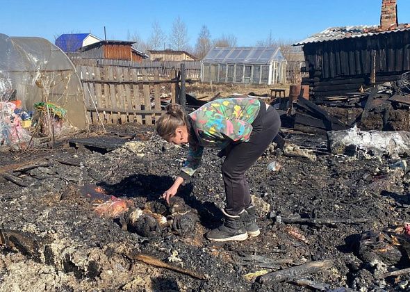 «Вещи - наживное. Животных жалко». Пожар лишил серовчан дачи, пса Рекса, 2 свиней, 9 поросят, курицы и кошки