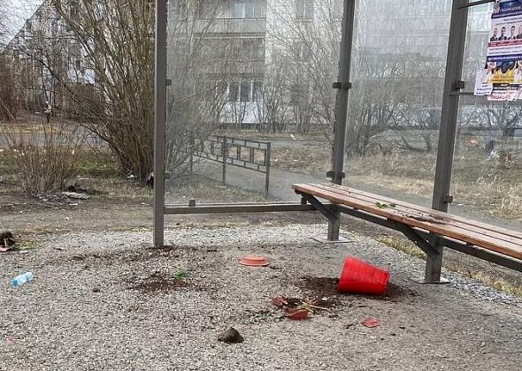 Бедлам на остановочном комплексе в Серове