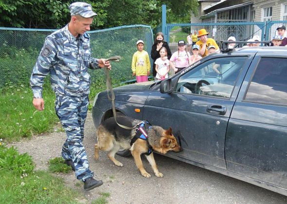 В преддверии Дня кинолога и Дня борьбы с наркоманией серовских ребят провели по «Тропе безопасности»