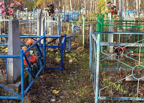 "Неровности, ямы, камни, а ведь ходят пожилые люди". Читатель жалуется на состояние дорог на кладбище в Серове