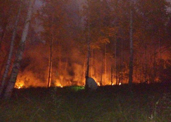 Начался пожароопасный сезон. Серовское лесничество рассказывает о готовности к выявлению и тушению пожаров