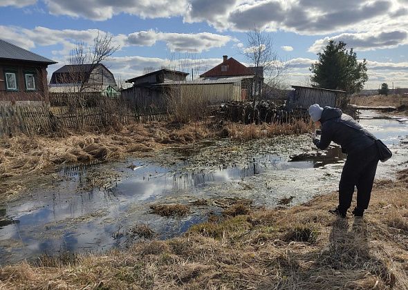 Росприроднадзор ответил на запрос "Глобуса" о ситуации в Завокзальном, жители которого жаловались на разлив нефтепродуктов