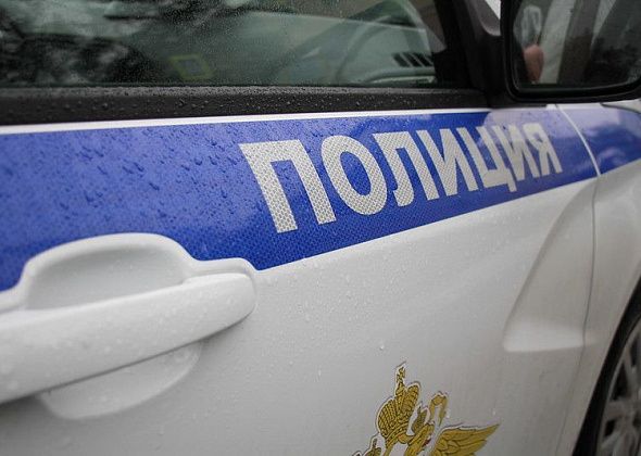 В Серове за хранение пороха осудили мужчину, который стрелял на улицах поселка, чтобы разогнать собак