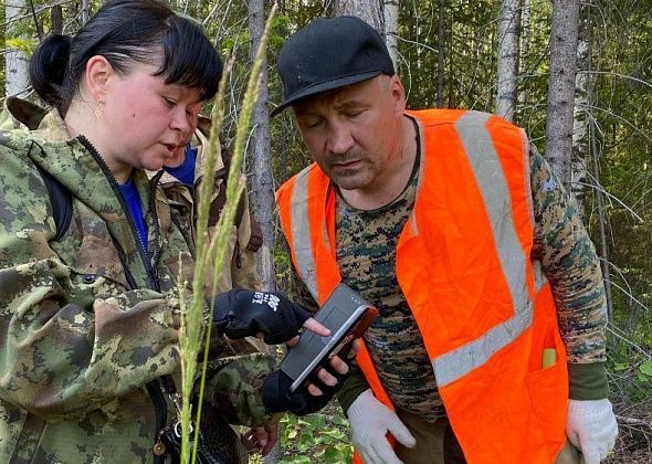"Мы с женой вышли, а мама - нет". К поискам пропавшей пенсионерки приступили члены поискового отряда "Полет" из Североуральска и добровольцы из Серова