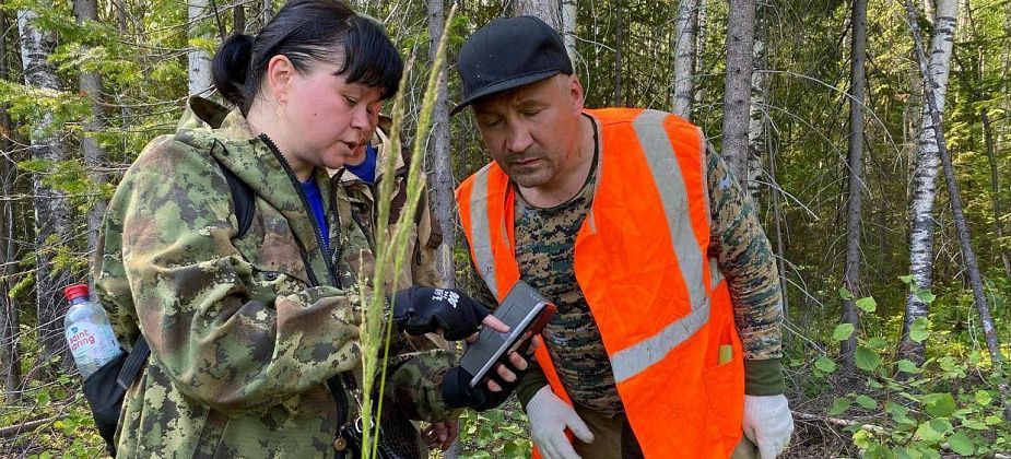 "Мы с женой вышли, а мама - нет". К поискам пропавшей пенсионерки приступили члены поискового отряда "Полет" из Североуральска и добровольцы из Серова