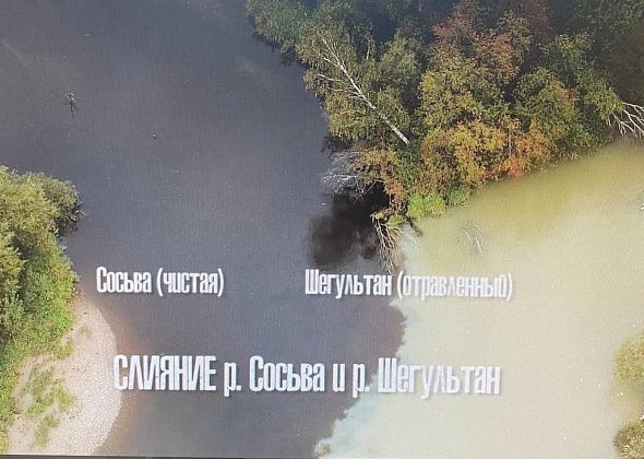 "Это же экологическая катастрофа". Подписчики "Глобуса" в соцсетях обсуждают загрязнение вод Сосьвы