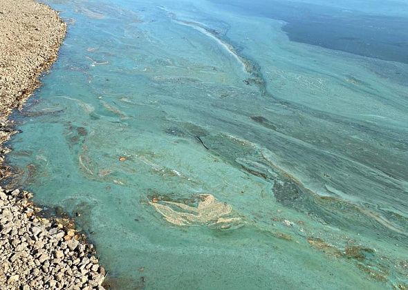 "Впервые такое чудо вижу". Серовчанин обеспокоен цветом воды на Киселевском водохранилище